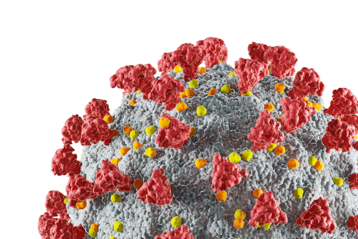 SARS-CoV-2 real-time PCR assay