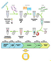 Workflow hybridization based technique